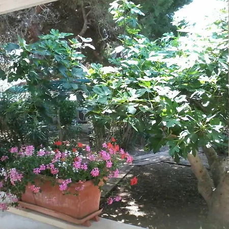 公寓 Casa Matteo *